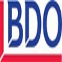 BDO Zimbabwe Chartered Accountants logo