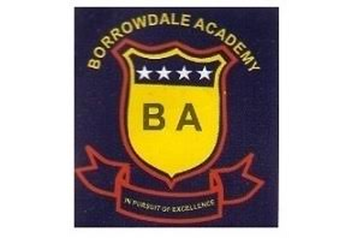 Borrowdale Academy logo