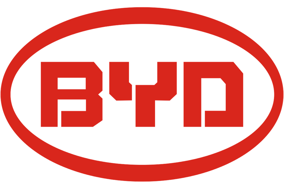 BYD Zimbabwe logo