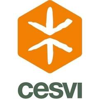 Cesvi Zimbabwe logo