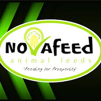 Nova Feeds logo