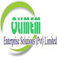 Olimem Enterprise Solutions ~~ 0 logo