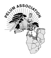 PELUM (Participatory Ecological Land Use Management Association) logo