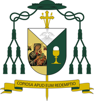 Roman Catholic Diocese of Chinhoyi logo